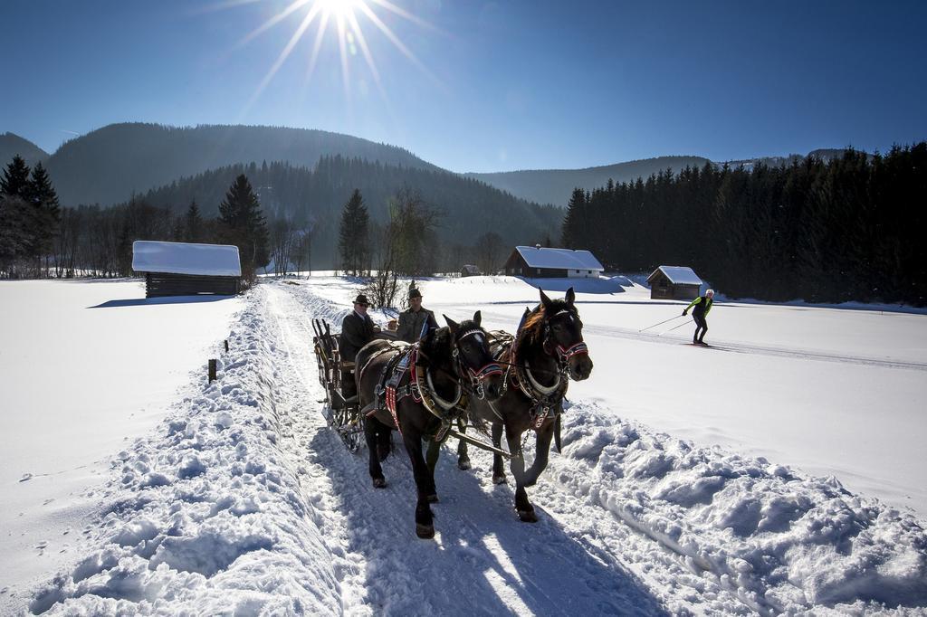 Pension Speckmoser Бад-Міттерндорф Екстер'єр фото